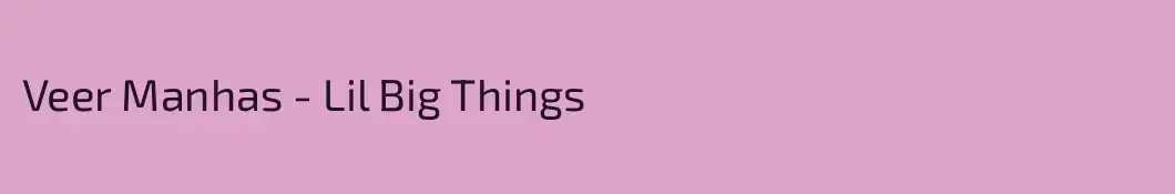 Veer Manhas - Lil Big Things